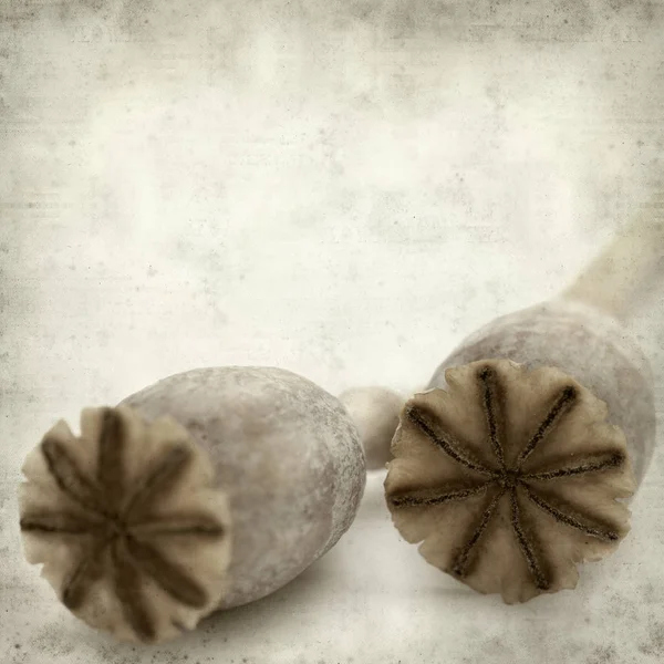 Texturou Staré Papírové Pozadí Suchých Semen Lusky Breadseed Máku — Stock fotografie