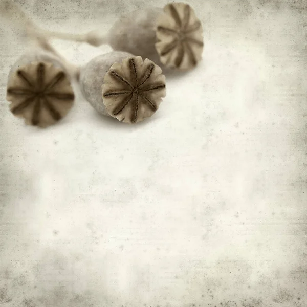 Breadseed ポピーの乾燥種子のさやを持つ古い用紙の背景のテクスチャ — ストック写真