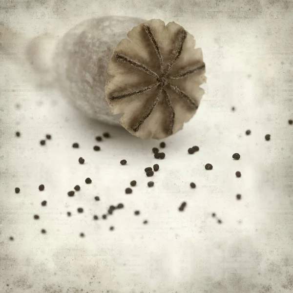 Breadseed ポピーの乾燥種子のさやを持つ古い用紙の背景のテクスチャ — ストック写真