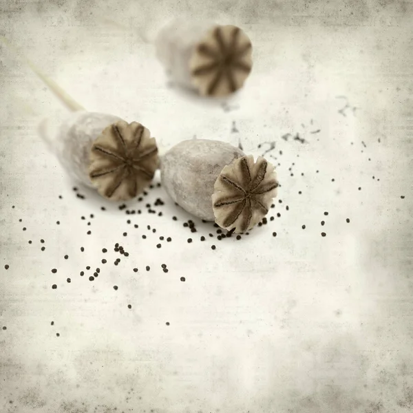 Textured Old Paper Background Dry Seed Pods Breadseed Poppy — Stock Photo, Image