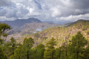 Gran Canaria, Ekim, Doğa Parkı Pajonales, parçası tatlı su rezervuar Presa de las Ninas görünür yeniden ormanlık
