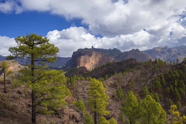 Gran Canaria Oktober Rotsformatie Risco Chimirique Iconische Roque Nublo Zichtbaar — Stockfoto