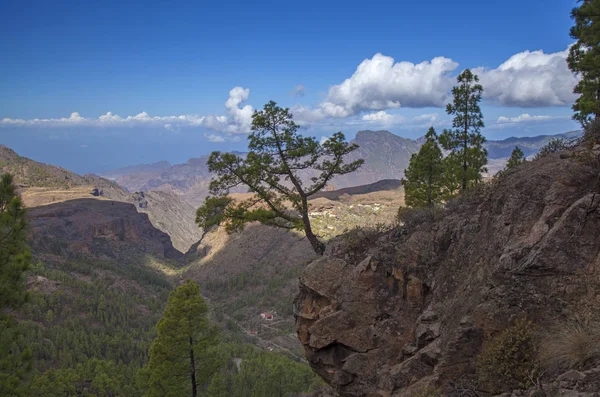 Gran Canaria Oktober Uitzicht Vanaf Een Wandelpad Vallei Barranco Juncal — Stockfoto