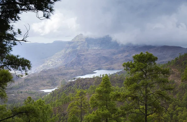 Gran Canaria October Forested Part Nature Park Pajonales Freshwater Reservoir — Stock Photo, Image