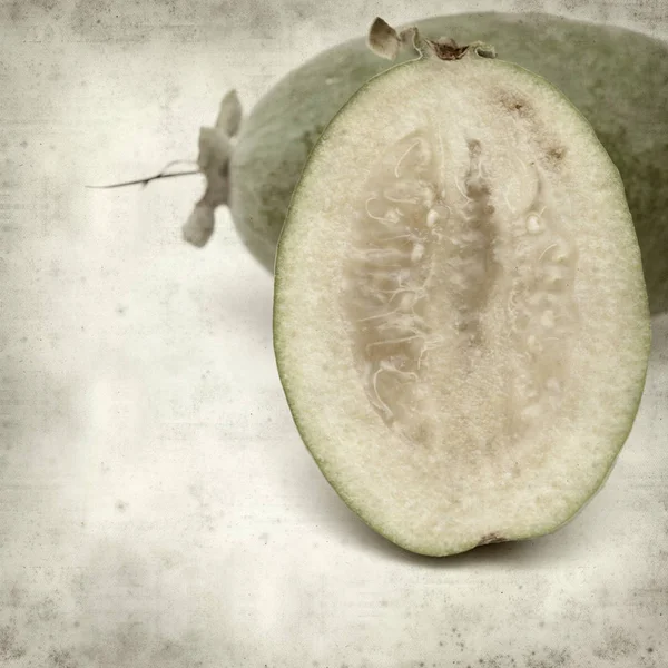 Gestructureerde Oud Papier Achtergrond Met Groene Feijoa Fruit — Stockfoto