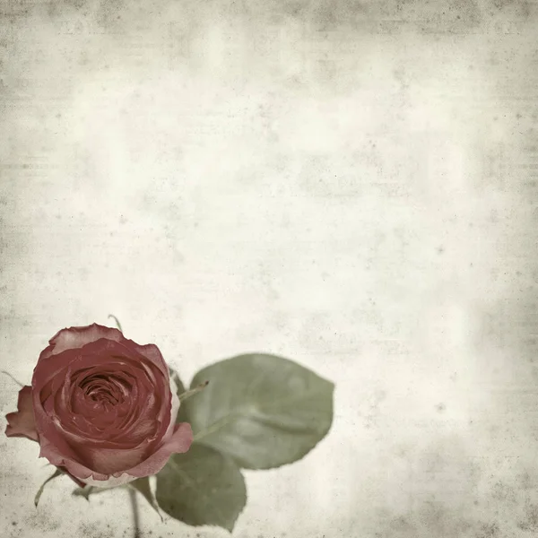 Textured Old Paper Background Pink Rose — Stock Photo, Image