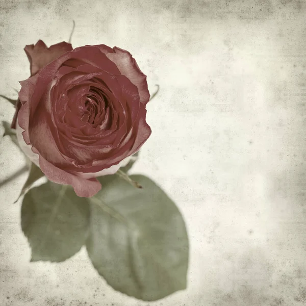 Textured Old Paper Background Pink Rose — Stock Photo, Image