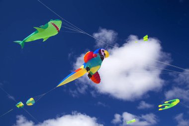 Fuerteventura, İspanya - 10 Kasım: Ziyaretçi 10 Kasım 2018 yılında Tabiat Parkı Corralejo Dunes, Fuerteventura, İspanya 31 Uluslararası Uçurtma Festivali, uçurtmalar uçan güzel görüntü keyfini çıkarın