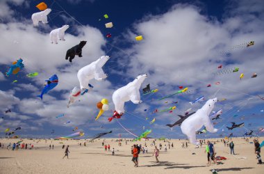 Fuerteventura, İspanya - 10 Kasım: Ziyaretçi 10 Kasım 2018 yılında Tabiat Parkı Corralejo Dunes, Fuerteventura, İspanya 31 Uluslararası Uçurtma Festivali, uçurtmalar uçan güzel görüntü keyfini çıkarın