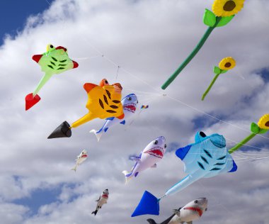 Fuerteventura, İspanya - 10 Kasım: Ziyaretçi 10 Kasım 2018 yılında Tabiat Parkı Corralejo Dunes, Fuerteventura, İspanya 31 Uluslararası Uçurtma Festivali, uçurtmalar uçan güzel görüntü keyfini çıkarın
