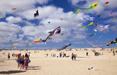 Fuerteventura, İspanya - 10 Kasım: Ziyaretçi 10 Kasım 2018 yılında Tabiat Parkı Corralejo Dunes, Fuerteventura, İspanya 31 Uluslararası Uçurtma Festivali, uçurtmalar uçan güzel görüntü keyfini çıkarın