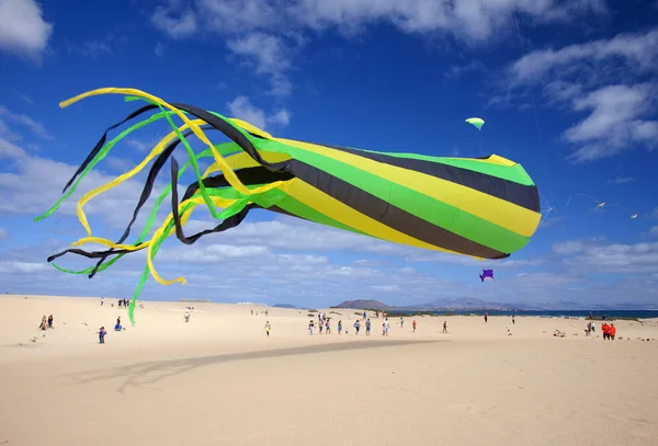 Fuerteventura Spanien November Die Besucher Genießen Die Herrliche Vorführung Fliegender — Stockfoto