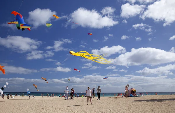 Fuerteventura Espanha Novembro Visitantes Desfrutam Bela Exposição Papagaios Voadores 31O — Fotografia de Stock