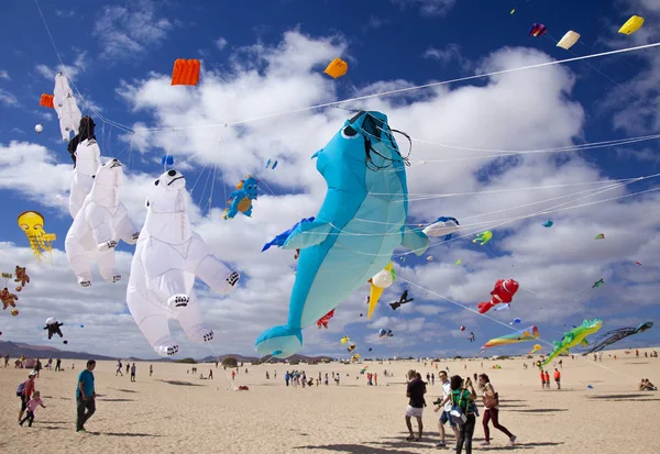 Fuerteventura Espanha Novembro Visitantes Desfrutam Bela Exposição Papagaios Voadores 31O — Fotografia de Stock