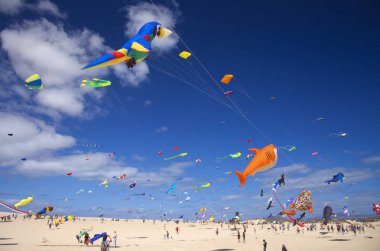 Fuerteventura, İspanya - 10 Kasım: Ziyaretçi 10 Kasım 2018 yılında Tabiat Parkı Corralejo Dunes, Fuerteventura, İspanya 31 Uluslararası Uçurtma Festivali, uçurtmalar uçan güzel görüntü keyfini çıkarın