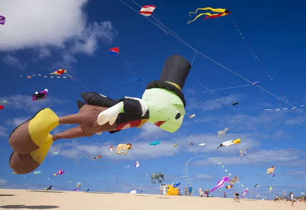 Fuerteventura Spanien November Die Besucher Genießen Die Herrliche Vorführung Fliegender — Stockfoto