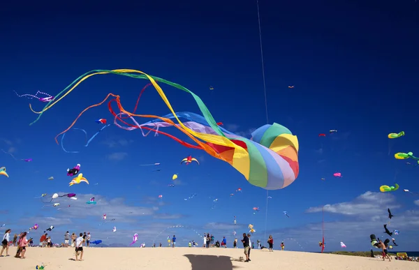 Fuerteventura Spain November Visitors Enjoy Beautiful Display Flying Kites 31Th — Stock Photo, Image