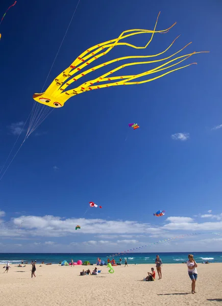 Fuerteventura Španělsko Listopadu Návštěvníci Těšit Krásné Zobrazení Létající Draci Festivalu — Stock fotografie