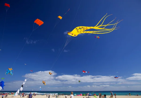2018 日自然公園コラレホ砂丘 フェルテベントゥラ島 スペインの第 国際凧祭りでの凧の飛行の美しいディスプレイを楽しむフェルテベントゥラ島 スペイン — ストック写真