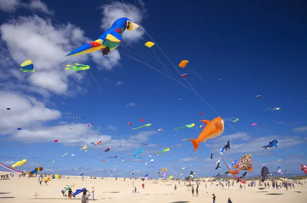 2018 日自然公園コラレホ砂丘 フェルテベントゥラ島 スペインの第 国際凧祭りでの凧の飛行の美しいディスプレイを楽しむフェルテベントゥラ島 スペイン — ストック写真