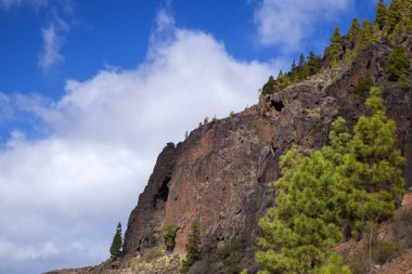 Gran Canaria, Doğa Parkı çam ormanı Tamadaba, kırmızı yar Barranco del Laurel dağ geçidi boyunca