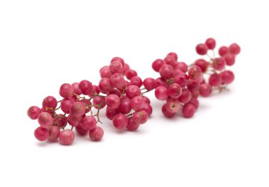 pembe peppercorns kümesi, Peru biber ağacı Schinus molle beyaz izole meyve 