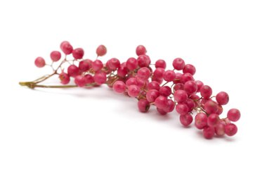pembe peppercorns kümesi, Peru biber ağacı Schinus molle beyaz izole meyve