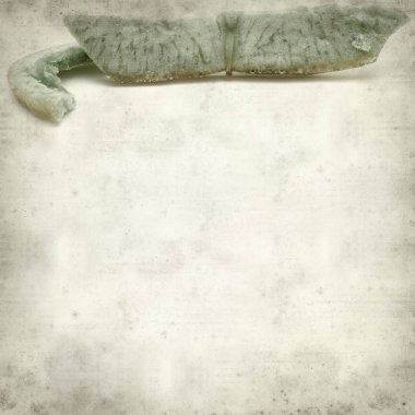 Kurutulmuş meyve ile dokulu eski Kağıt arka plan 