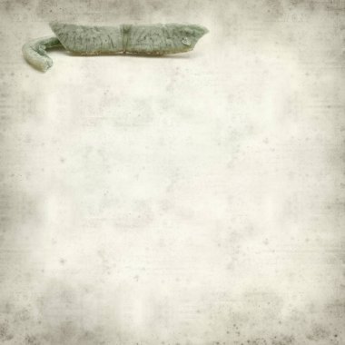 Kurutulmuş meyve ile dokulu eski Kağıt arka plan 