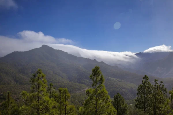 大加那利岛 自然公园松树林 Tamadaba 云卷入 Caldera Tejeda — 图库照片