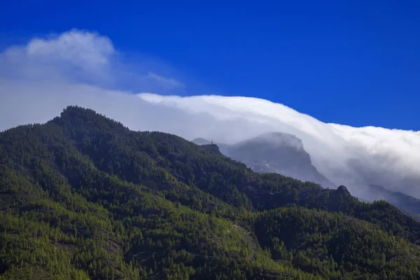 Gran Canaria Parque Natural Pinos Tamadaba Nubes Rodando Caldera Tejeda —  Fotos de Stock