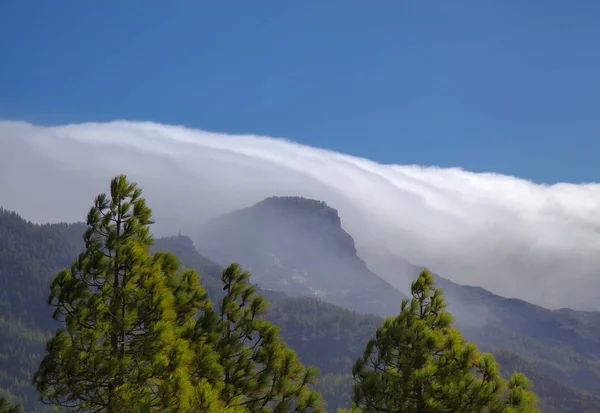 Gran Canaria Nature Park Pine Forest Tamadaba Clouds Rolling Caldera — Stock Photo, Image