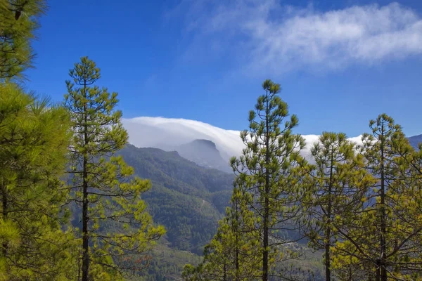 Gran Canaria Parque Natural Pinos Tamadaba Nubes Rodando Caldera Tejeda —  Fotos de Stock