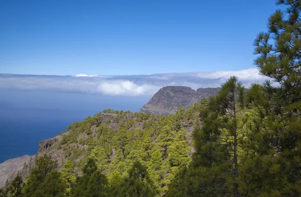 Gran Canaria Parque Natural Pinhal Tamadaba Vista Para Faneque Penhasco — Fotografia de Stock