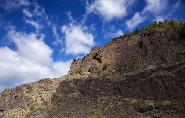 Gran Canaria Parque Natural Pinhal Tamadaba Penhasco Vermelho Com Arco — Fotografia de Stock