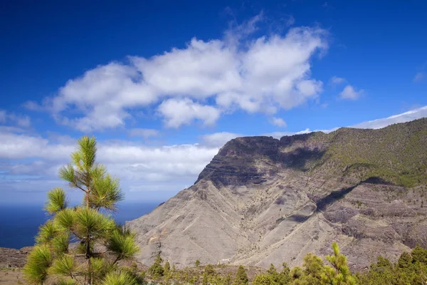 Gran Canaria Parque Natural Pinos Tamadaba Vista Hacia Faneque Acantilado —  Fotos de Stock