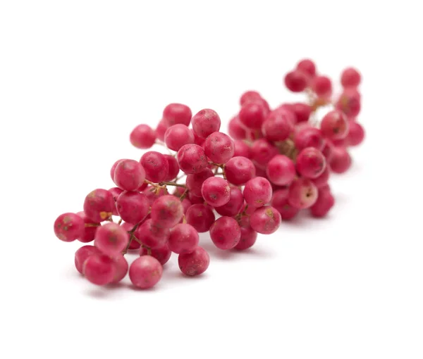 Cluster Pink Peppercorns Fruit Peru Pepper Tree Schinus Molle Isolated — Stok Foto
