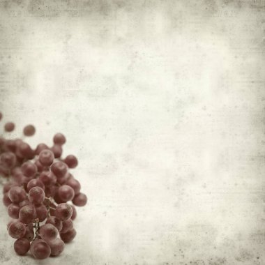 pembe biber ağacı meyve ile dokulu eski Kağıt arka plan 