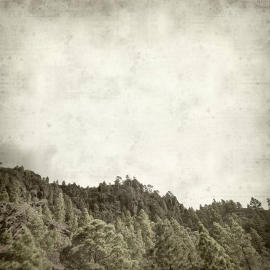 Gran Canaria Manzara Doğa Parkı Tamadaba ile dokulu eski Kağıt arka plan