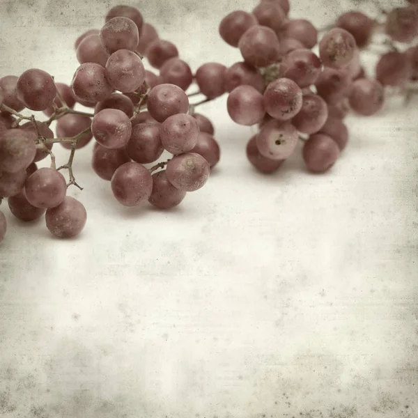 Vieux Fond Papier Texturé Avec Des Fruits Poivre Rose — Photo