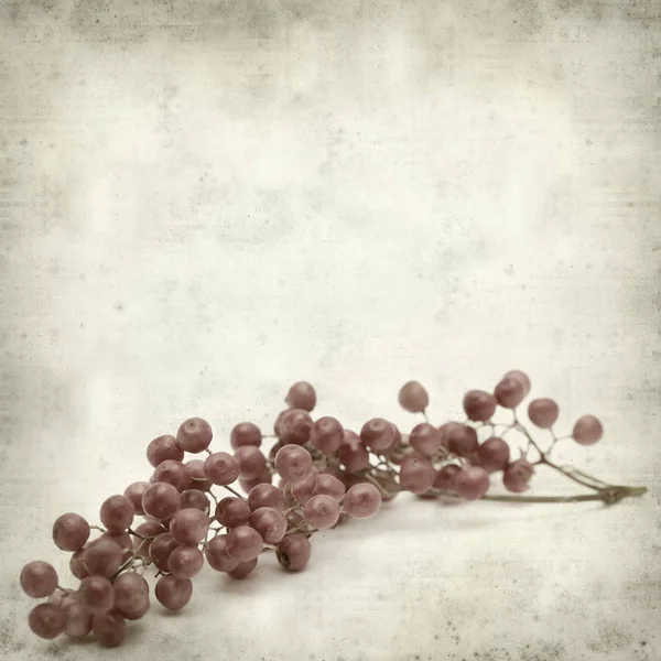 Fundo Papel Velho Texturizado Com Pimenta Rosa Fruto Árvore Milho — Fotografia de Stock