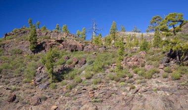 Gran Canaria, Kasım 2018, kenarları doğa rezerv Inagua