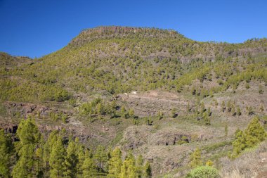 Gran Canaria, Kasım 2018, ormanlık alanlarda doğa rezerv Inagua, terkedilmiş orman güvenlik binası, yeniden 