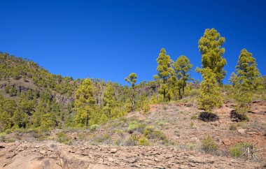 Gran Canaria, Kasım 2018, kenarları doğa rezerv Inagua