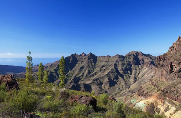 Gran Canaria November 2018 Spectacular Multicolored Strata Fuente Los Azulejos — Stock Photo, Image