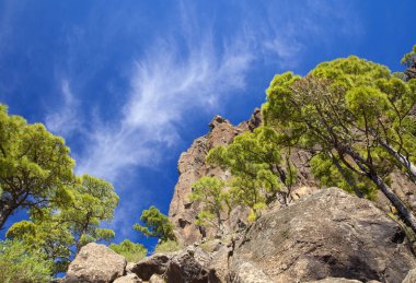 Gran Canaria, Kasım 2018, kayalıkları doğa rezerv Inagua kenarlarında