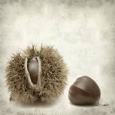 Eski Kağıt arka plan tatlı kestane ile dokulu 