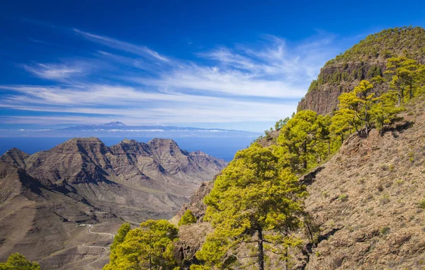 Gran Canaria Noviembre 2018 Vista Desde Estricta Reserva Natural Inagua —  Fotos de Stock