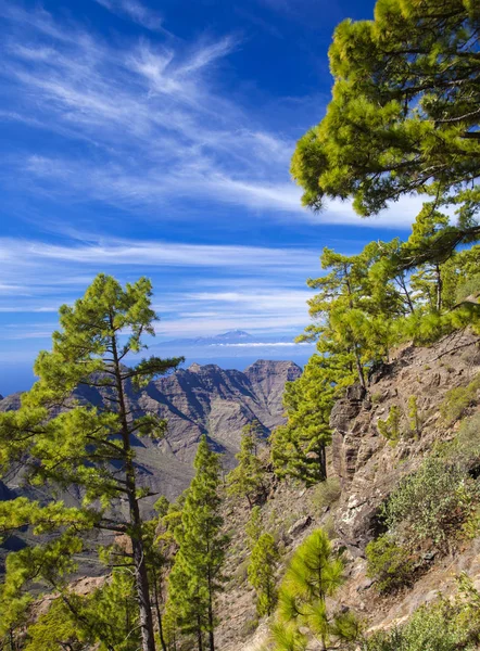 Gran Canaria November 2018 Uitzicht Vanaf Strikte Natuur Reserve Inagua — Stockfoto