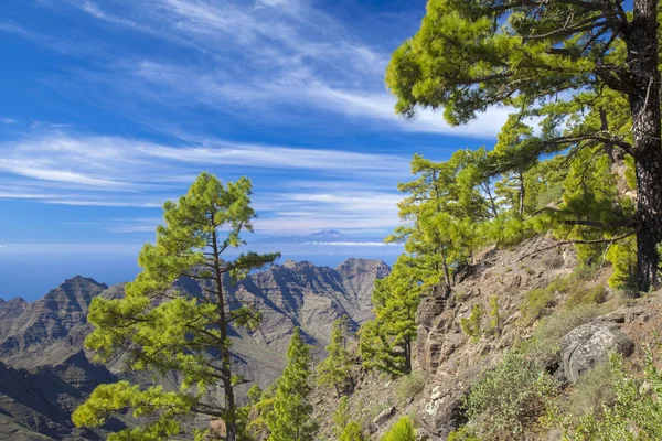 Gran Canaria Listopad 2018 Pohled Přísná Přírodní Rezervace Inagua Towrads — Stock fotografie